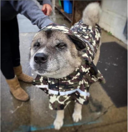 NACOCO Large Dog Raincoat Adjustable Pet Water Proof Clothes Lightweight Rain Jacket Poncho Hoodies with Strip Reflective (M