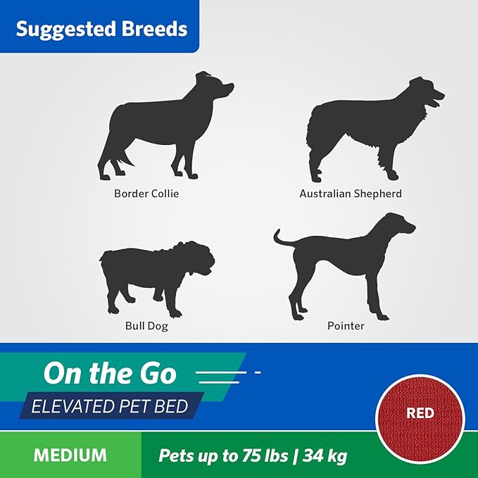 Coolaroo On The Go Cooling Elevated Dog Bed