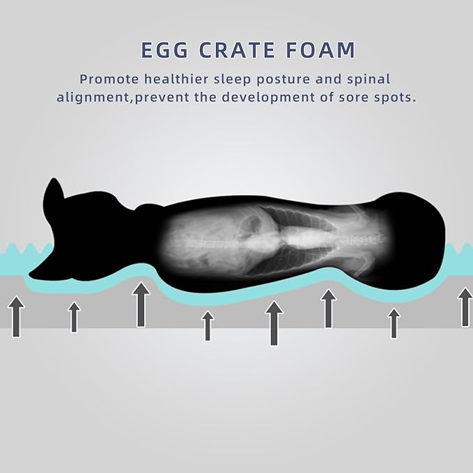 DaysU Large Dog Bed for Large Dogs 65 Ibs, 36x27x3in