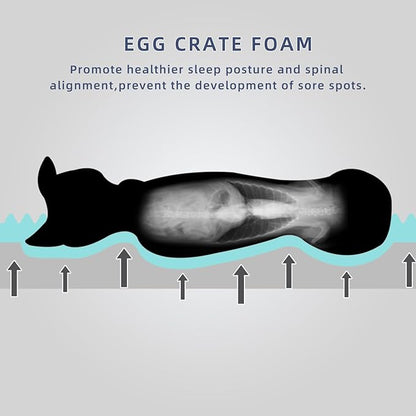 DaysU Large Dog Bed for Large Dogs 65 Ibs, 36x27x3in