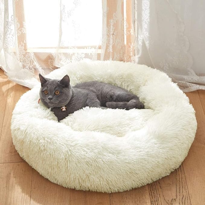 Geizire Dog Bed for Small and Medium Dogs