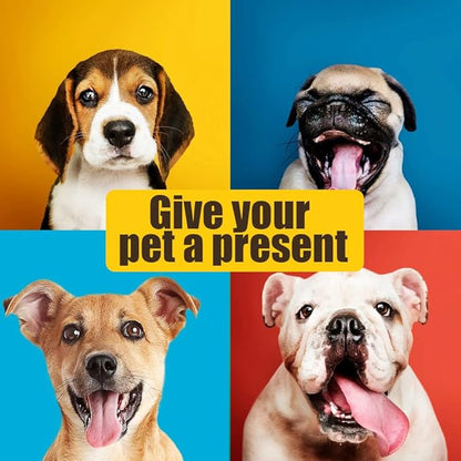 Cute Paw Print Comfortable Pets Dog Cats Puppy