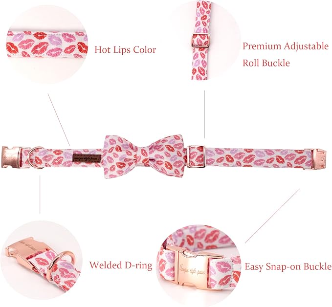 Unqiue Style Paws Valentine's Dog Collar