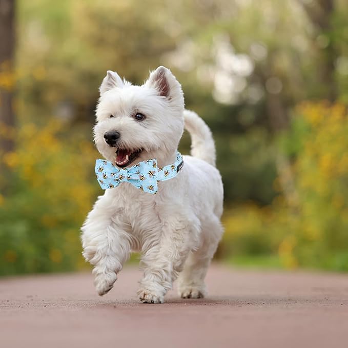 Maca Bates Blue Bee Dog Collar with Bow Bowtie for Dogs Bow Tie Adjustable Breakaway Blue Collars Accessories Birthday Gift for Small Medium Large XL Puppy with Golden Metal Buckle