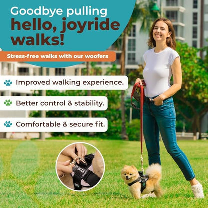 Joyride Harness 2.0 - The Original Side Ring No Pull Dog Harness - No Choke, Escape Proof, Reflective, 3 Leash Clips, Quick Fit Pet Vest - Easy Walks & Training - for Small, Medium & Large Dogs