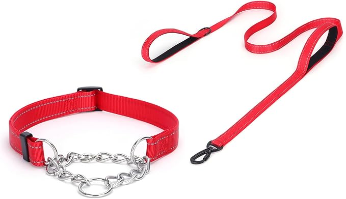 Martingale Dog Collar with Stainless Steel Chain and Leash Set 5FT Double