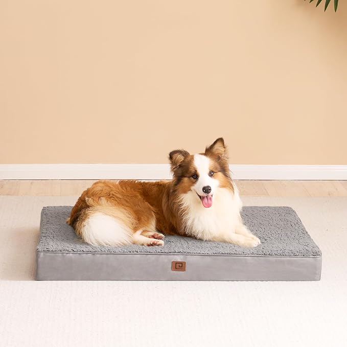 EHEYCIGA Orthopedic Foam Dog Bed 47"L x 29"W x 3.5"Th, Light