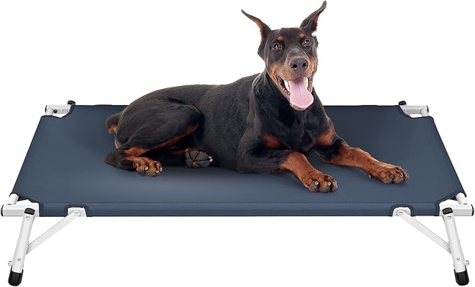 Elevated Cooling Cots Dog Bed: Raised Outdoor & Indoor Pet Cot