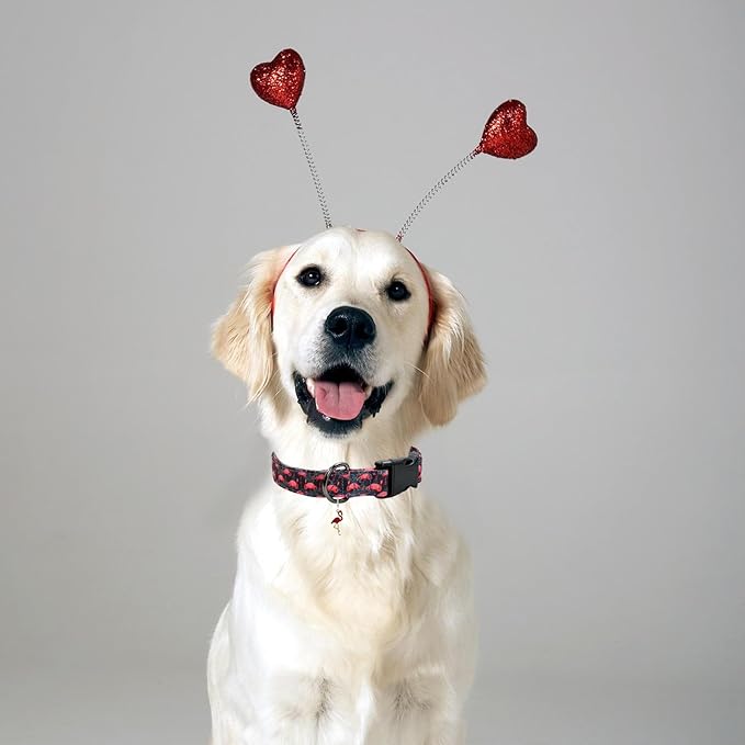 Flamingoes Patterns Dog Collar with Pendant