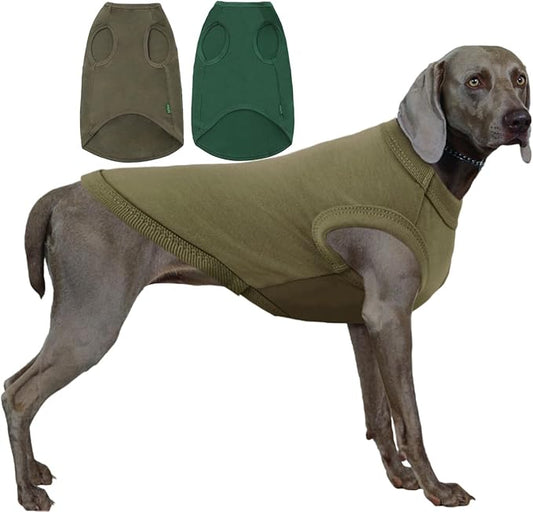 Dog Blank Cotton Shirts