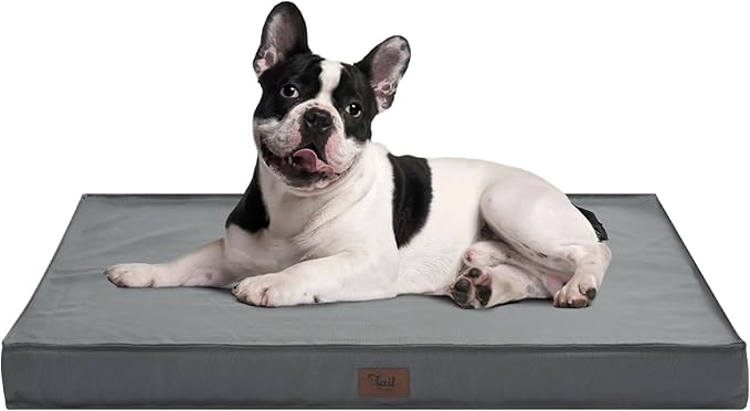 Outdoor Dog Bed for Medium/Small Dogs