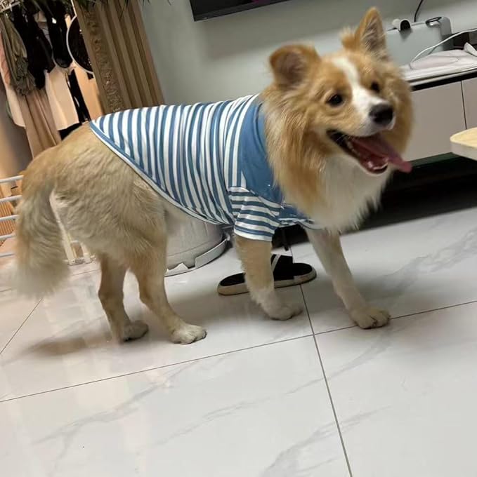 Cute Dog Clothes Striped Dog Polo Shirts Cute Sweater Puppy Clothes Gentle Sweater Pet Clothes for Small Medium Large Dogs Cats (Blue Stripe 4XL Size 55-65lb Pets)