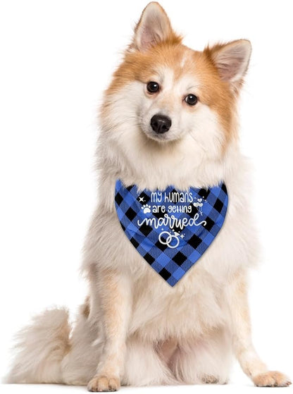 My Humans are Getting Married Dog Bandana (C55)