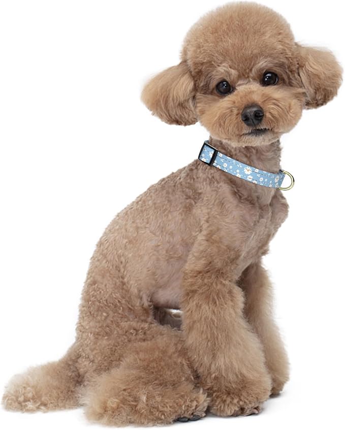 Reflective Dog Collar