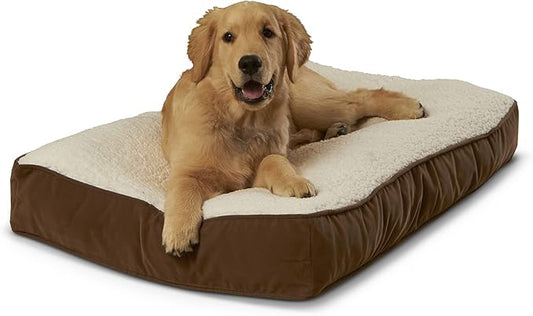 South Pine Porch Buddy Rectangle Pillow Style Dog Bed (24" x 36")