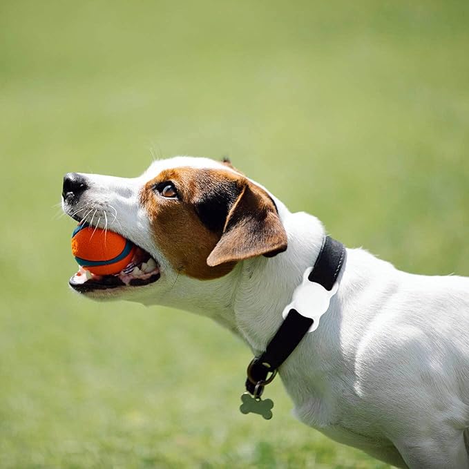 Air Tags-2 Pack Airtag Dog Collar Holder SWINCHO 1-3cm Width