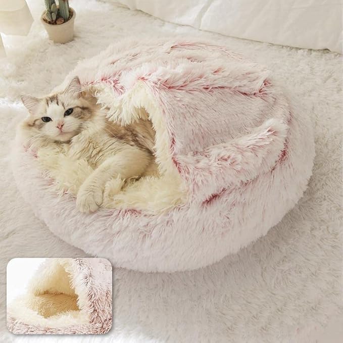 Geizire Dog Bed & Cat Bed