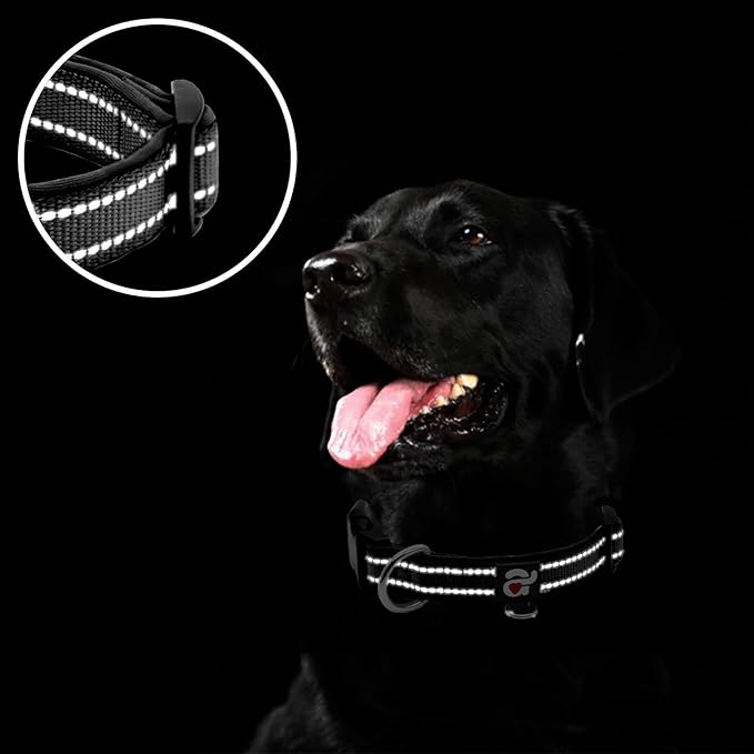 azuza Reflective Dog Collar
