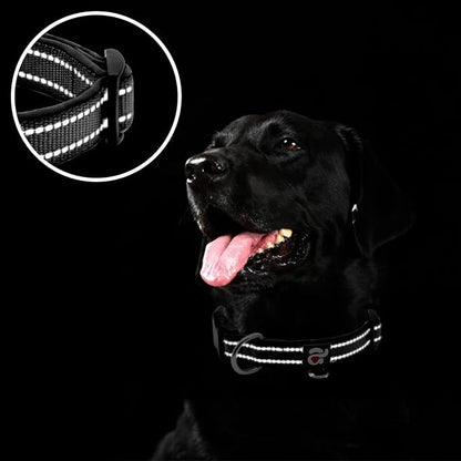 azuza Reflective Dog Collar