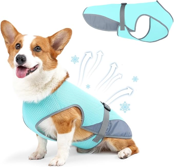 Dog Cooling Vest for Summer, Lightweight Jacket Dog Cooling Shirt, UV Protection Cooling Harness for Outdoor Activity with Breathable Mesh (Blue, Medium)