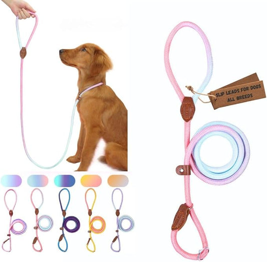 Slip Leads for Dogs (5 Foot 1/2")