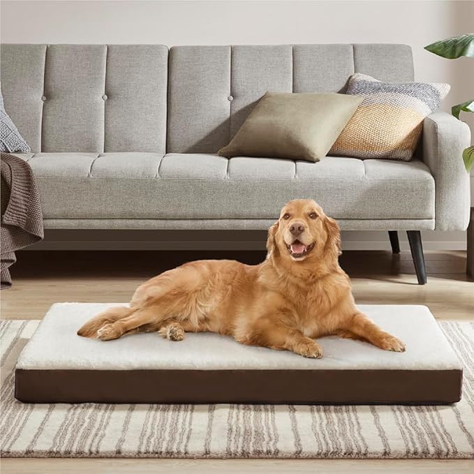 Friends Forever Orthopedic Dog Bed 44x32x3.5