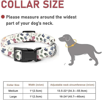 Dog Collar
