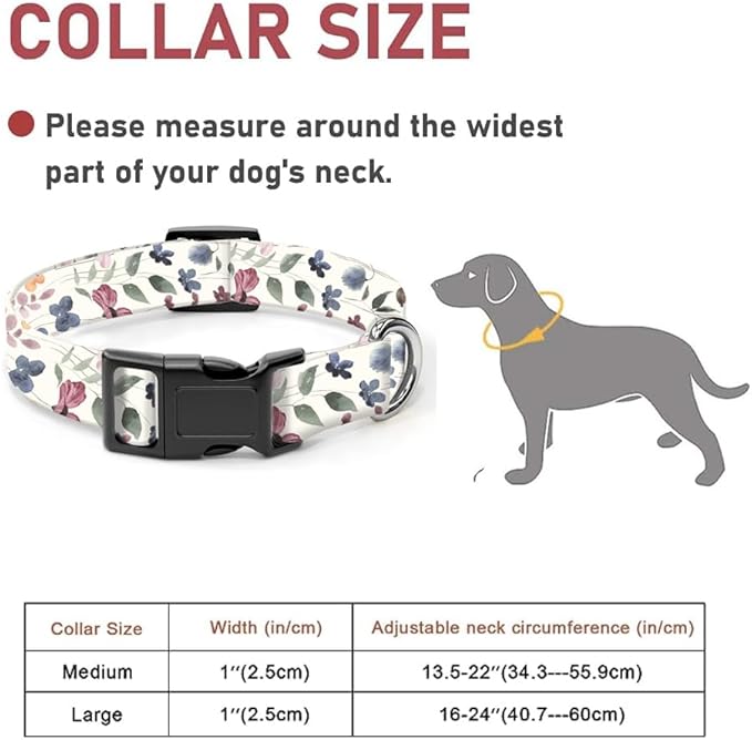 Dog Collar
