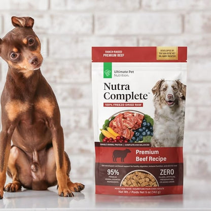 ULTIMATE PET NUTRITION Nutra Complete Raw Freeze Dried Dog Food, Veterinarian Formulated with Antioxidants, Prebiotics & Amino Acids (5 Ounce, Beef)