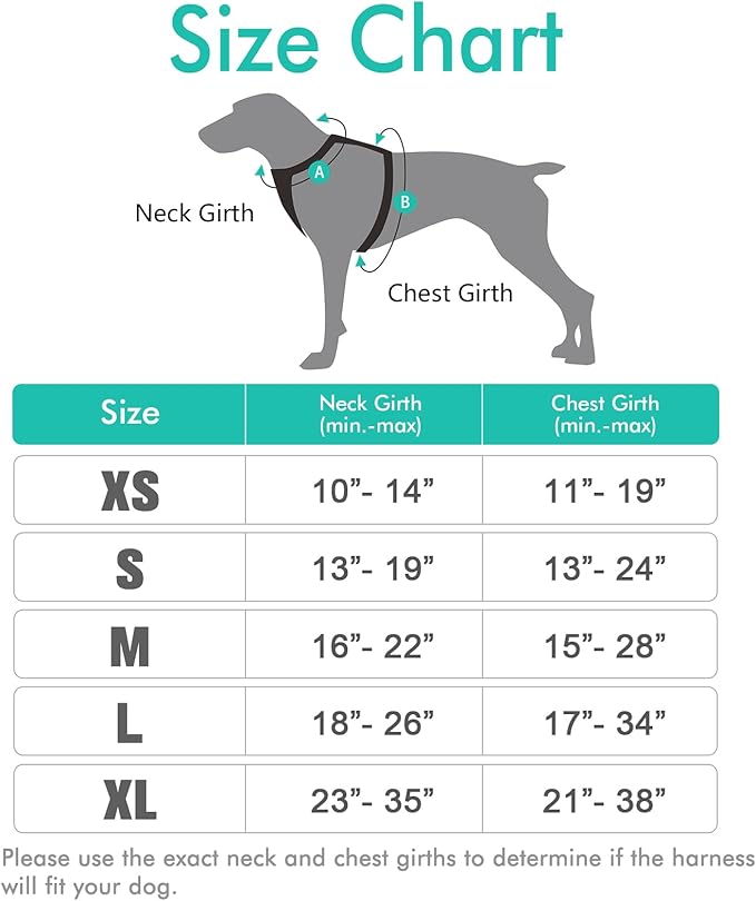 rabbitgoo Dog Harness, No-Pull Pet Harness with 2 Leash Clips, Adjustable Soft Padded Dog Vest, Reflective No-Choke Pet Oxford Vest with Easy Control Handle for Small Dogs, Turquoise, S