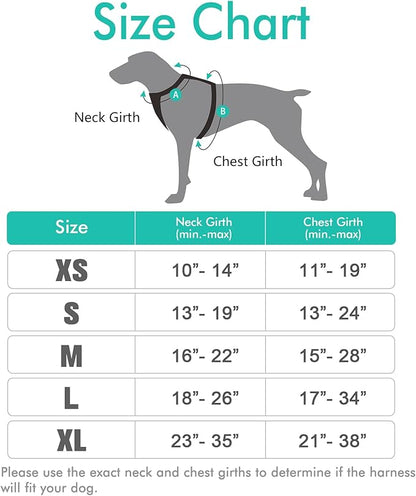 rabbitgoo Dog Harness, No-Pull Pet Harness with 2 Leash Clips, Adjustable Soft Padded Dog Vest, Reflective No-Choke Pet Oxford Vest with Easy Control Handle for Small Dogs, Turquoise, S