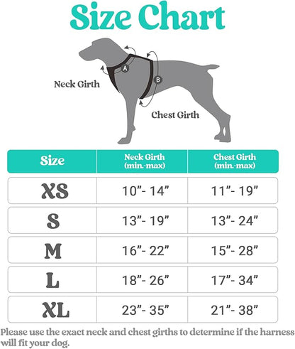 rabbitgoo Dog Harness, No-Pull Pet Harness with 2 Leash Clips, Adjustable Soft Padded Dog Vest, Reflective No-Choke Pet Oxford Vest with Easy Control Handle for Large Dogs, Black & Turquoise, S