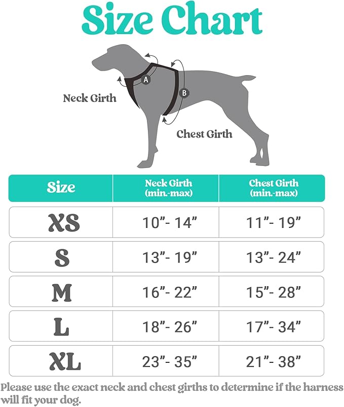 rabbitgoo Dog Harness, No-Pull Pet Harness with 2 Leash Clips, Adjustable Soft Padded Dog Vest, Reflective No-Choke Pet Oxford Vest with Easy Control Handle for Large Dogs, Black & Turquoise, L