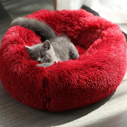 Geizire Cat Bed Dog Bed for Cats