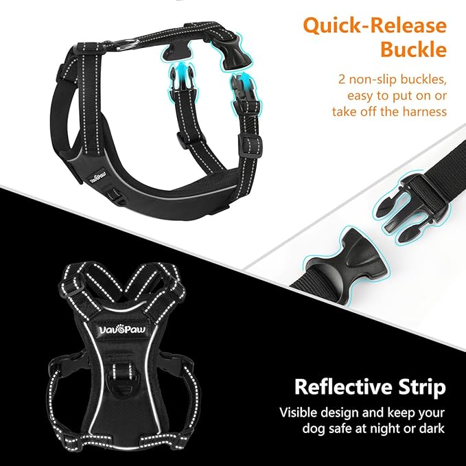 Dog Vehicle Safety Vest Harness, Adjustable Soft Padded Mesh Car Seat Belt Leash Harness with Reflective Strip Travel Strap and Carabiner for Most Cars, M Size, Carbon Black