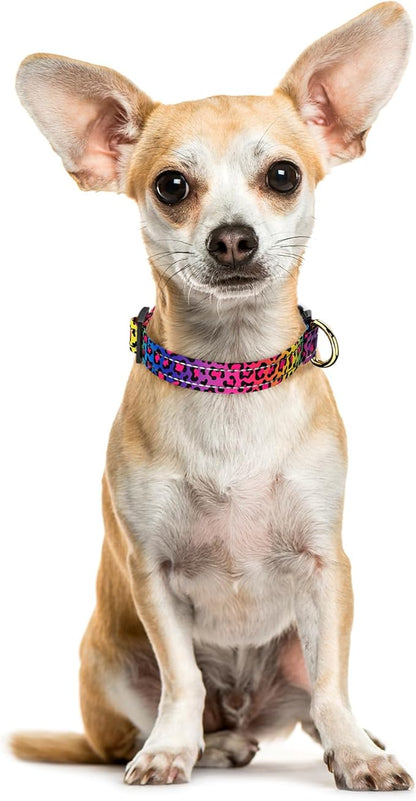 Reflective Dog Collar
