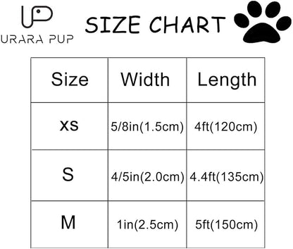 Summer Dog Leash Match Summer Dog Collar