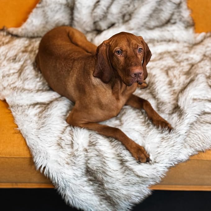 Waterproof Throw Blanket, Pet Bed Blanket for Dogs and Cats, Plush Fur Throw for Sleeping, Whelping, and Comfort, Furniture Protection, Stain Resistant Surface, Machine Washable (Bone White, 30x40")