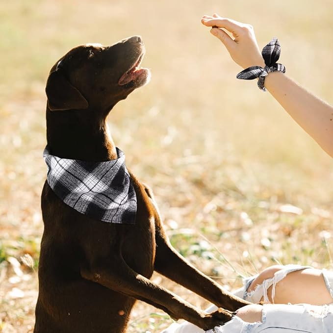E-Clover Dog Bandanas & Matching Scrunchie Set Boy