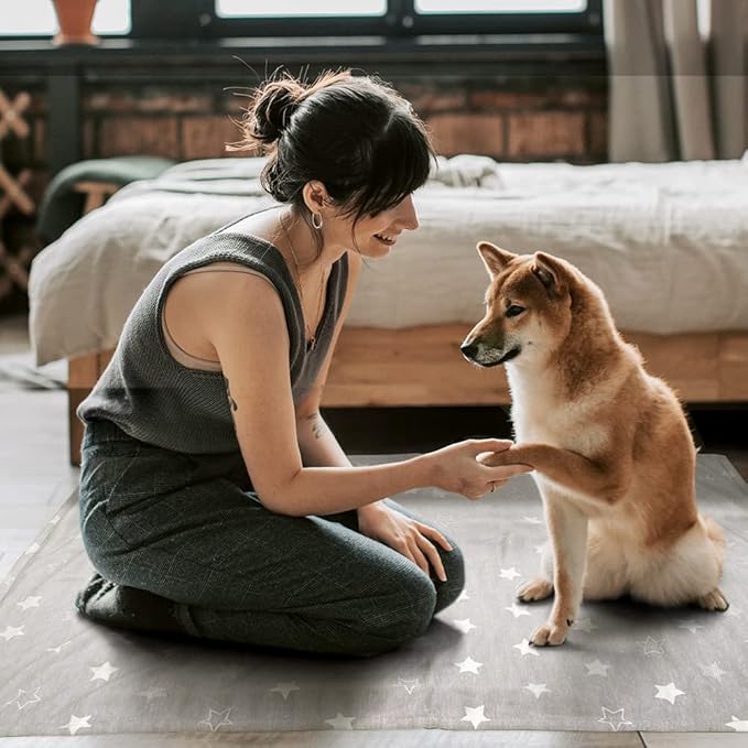 ARGOPET Dog Cooling Blanket 41 * 30inch Lightweight