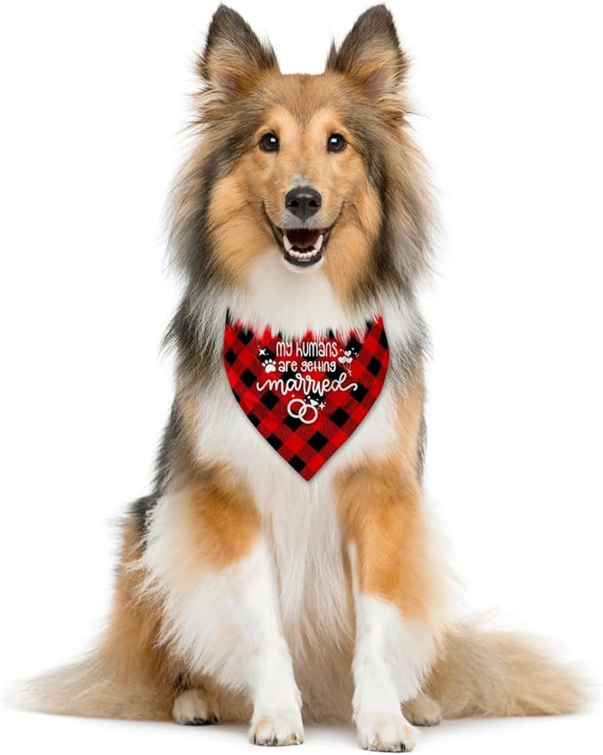 My Humans are Getting Married Dog Bandana (C51)