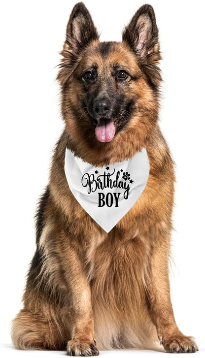 Birthday Dog Bandana 1st Birthday (A16)