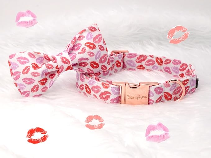 Unqiue Style Paws Valentine's Dog Collar