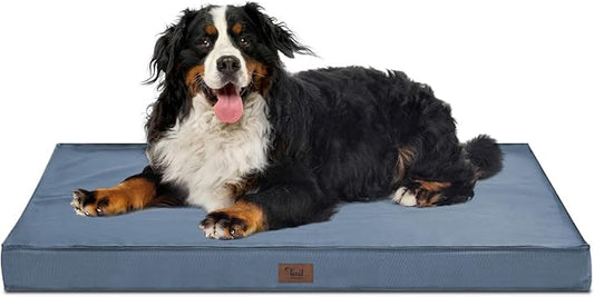 Dog Beds for Large Dogs