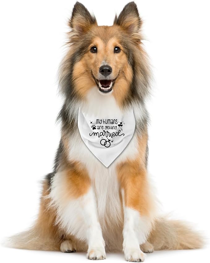 My Humans are Getting Married Dog Bandana (C53)