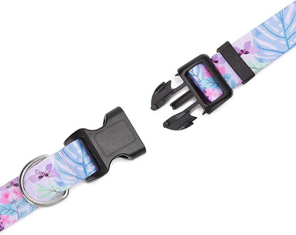Adjustable Dog Collar with Patterns