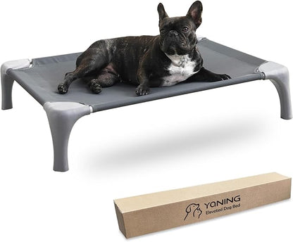 Elevated Dog Bed for Medium Dogs