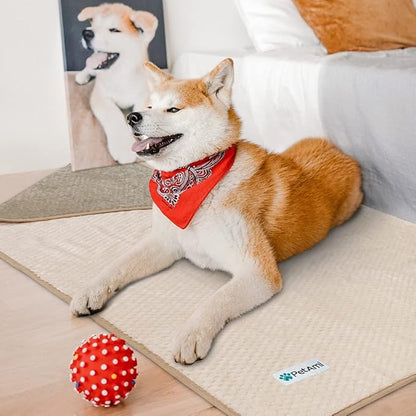 PetAmi Waterproof Dog Blanket 60x80 Taupe