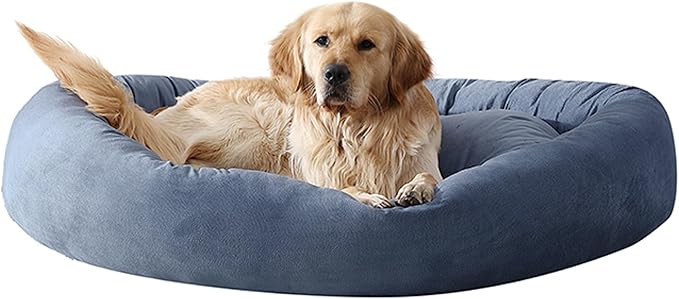 Arlee Orbit Orthopedic Memory Foam Dog Bed