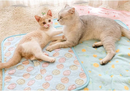 DELIFUR Cat Cooling Mat- Pet Cooling Mat Outdoor for Dogs Self Cooling Pad for Cat Puppy Small Dog Machine Washable (Medium